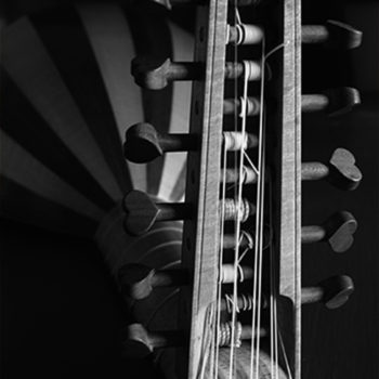 Lute in black and white by Martin Haycock